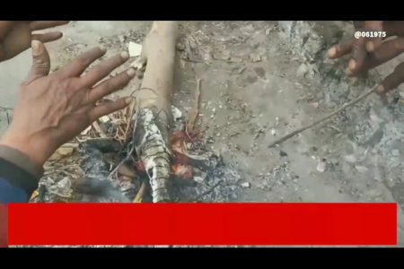 अगले पांच दिनों तक नही मिलेगी ठंड से राहत