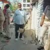 राजधानी में खोजी कुत्ते