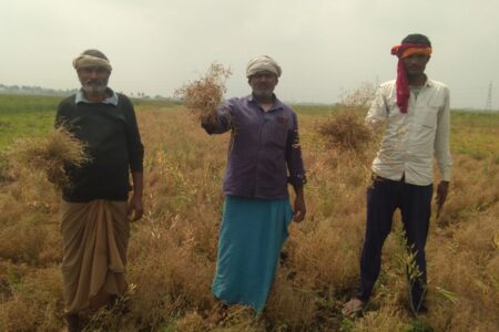 गेहूं के खेत से युवक का शव संदिग्ध हालत में मिलने से फैल गई सनसनी